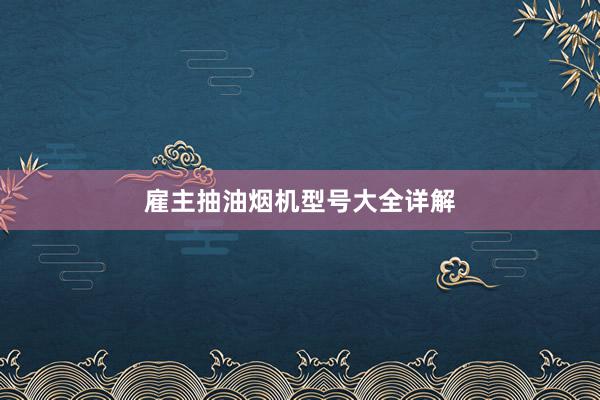 雇主抽油烟机型号大全详解