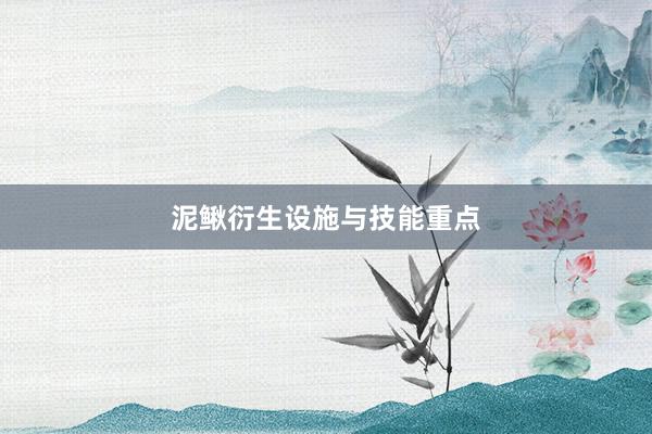 泥鳅衍生设施与技能重点