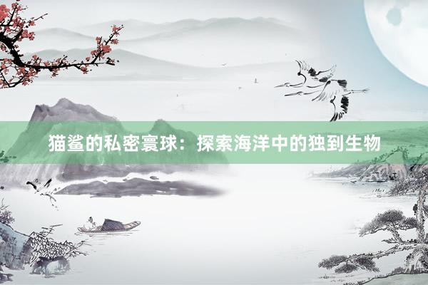 猫鲨的私密寰球：探索海洋中的独到生物